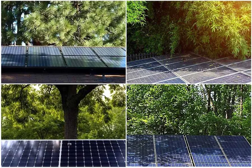 Person trimming tree branches near solar panels